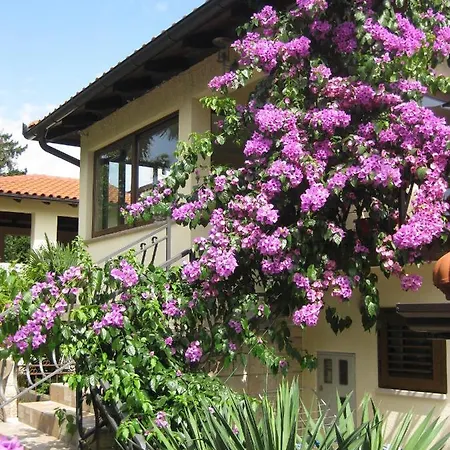 Ana Apartman *