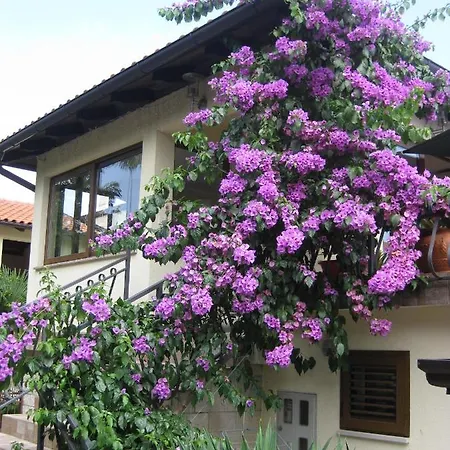 Ana * Opatija